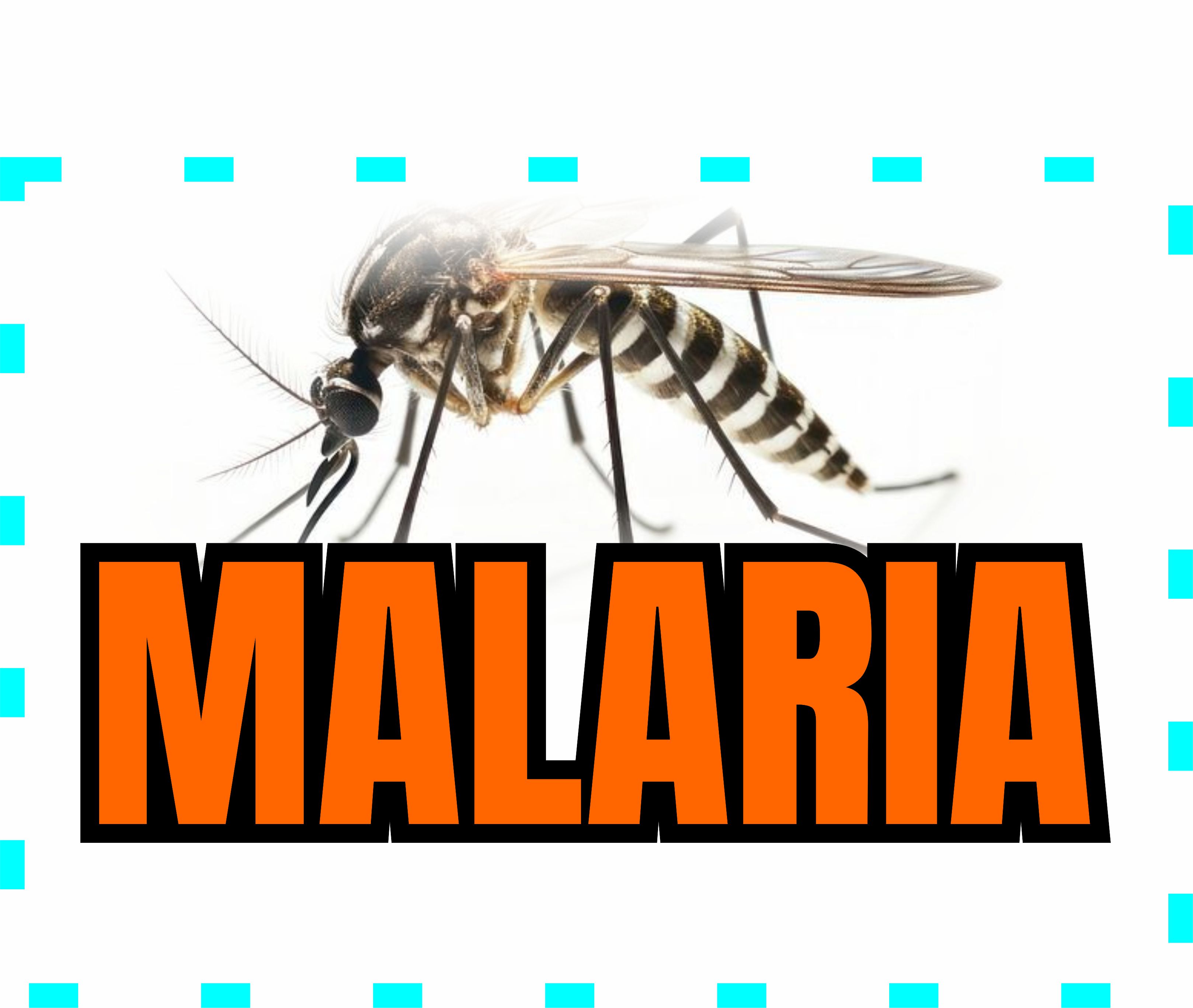 Malaria: Understanding the Causes, Symptoms, and Embracing Natural Support.